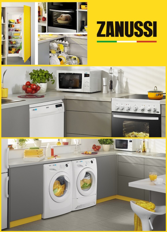 Service Zanussi