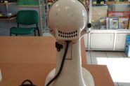 Ремонт Промышленный миксер KitchenAid SKSM150
