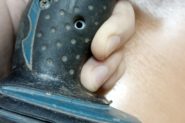 Ремонт Гайковерт Makita DTD
