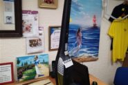 Ремонт Электрошвабра Electrolux ZB2803
