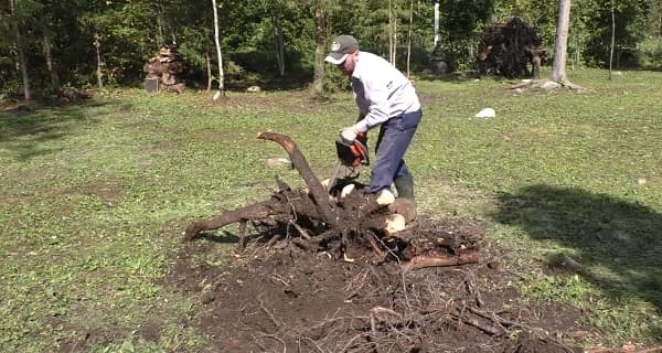 Расчистка участка от деревьев и кустарников в СПб