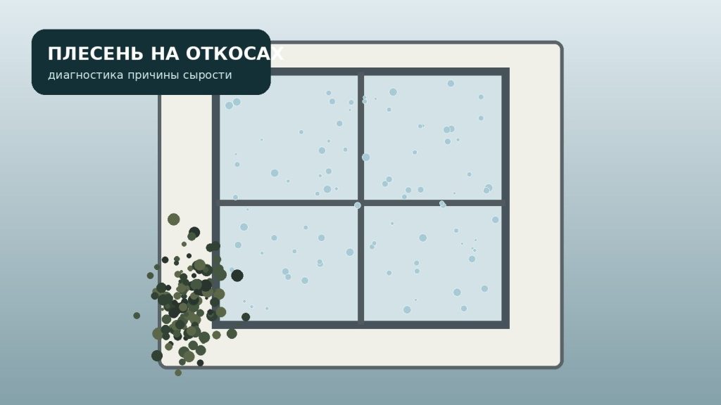 Плесень на внутреннем откосе пластикового окна в квартире Санкт-Петербурга